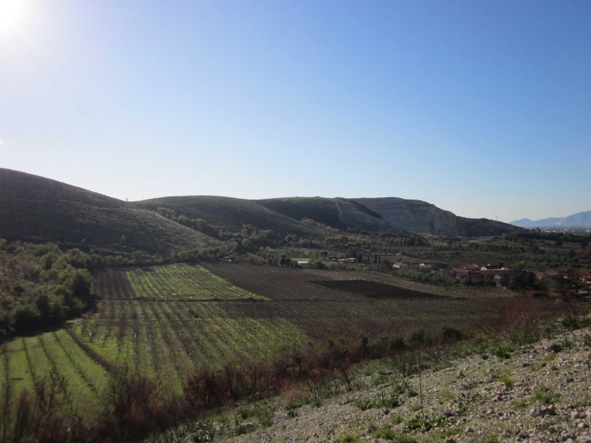 descrizione immagine