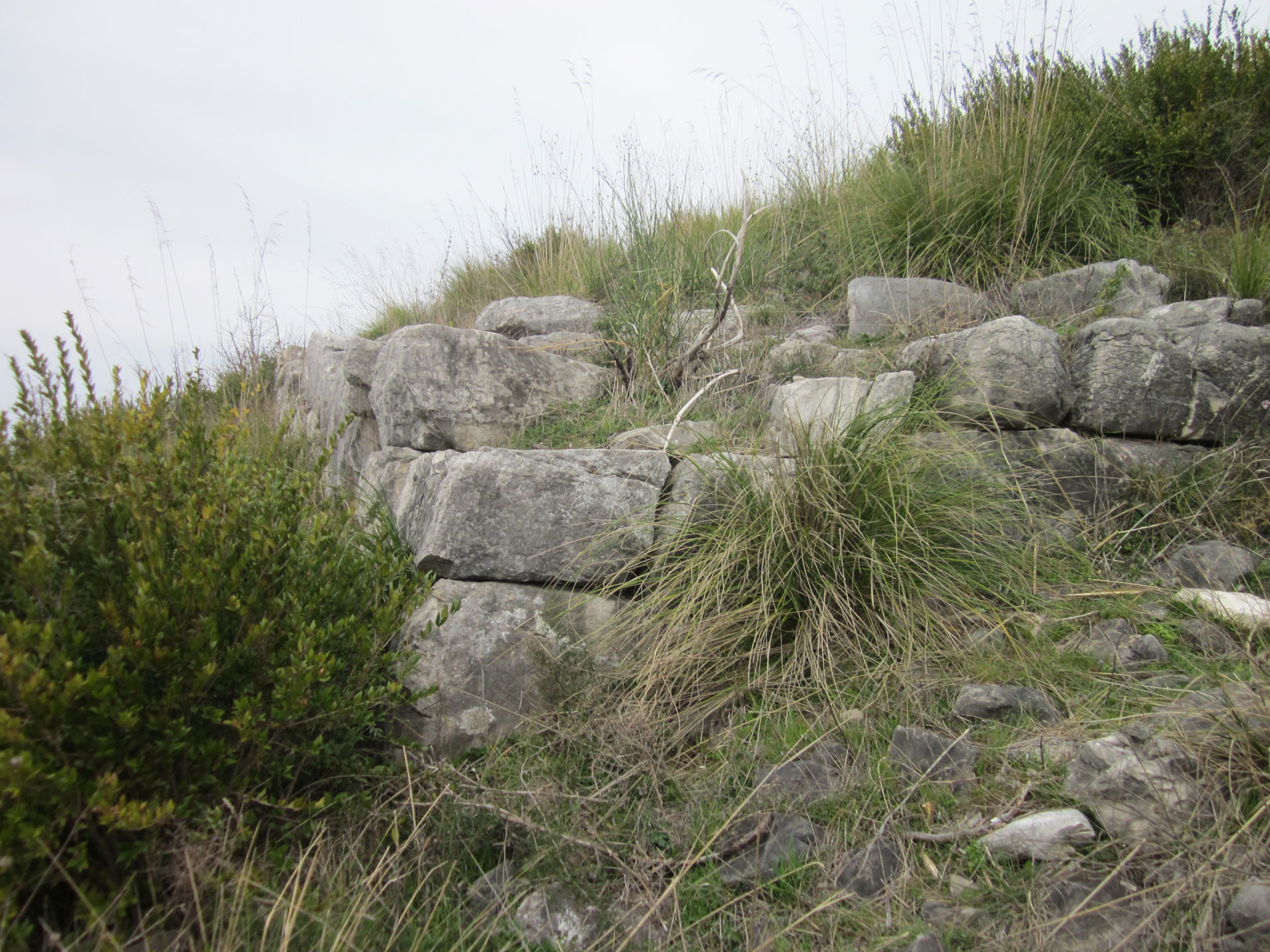 descrizione immagine