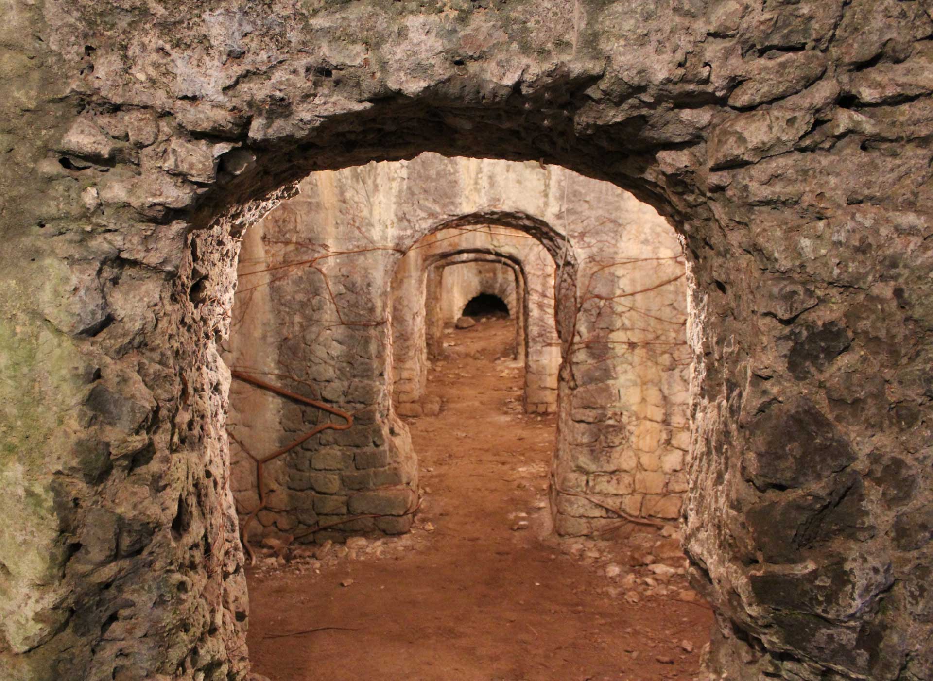 descrizione immagine