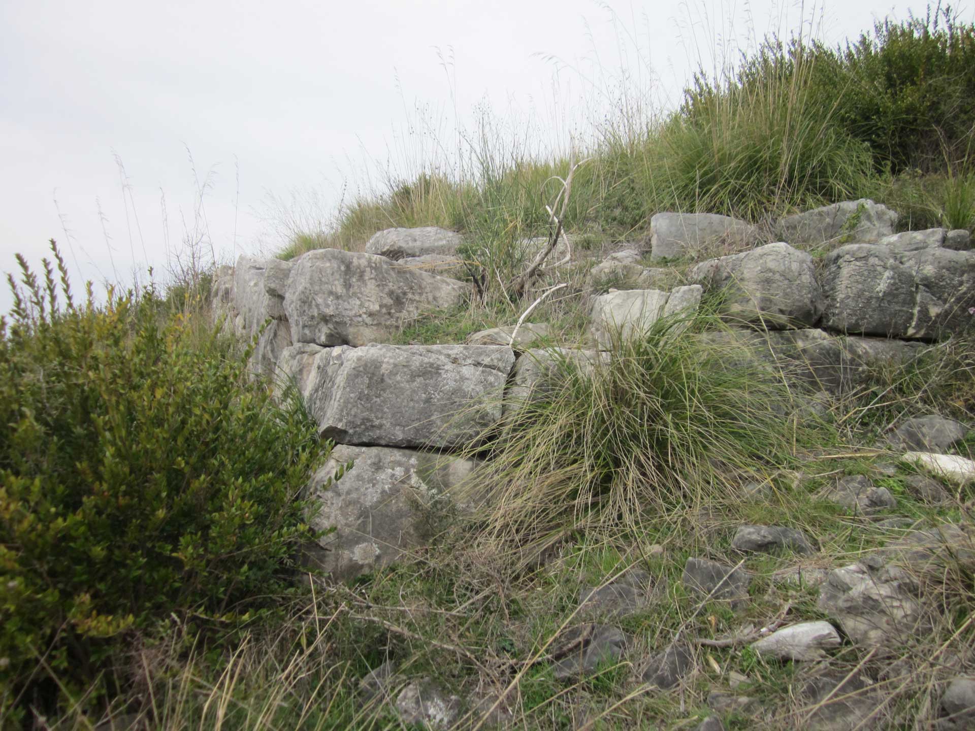 descrizione immagine