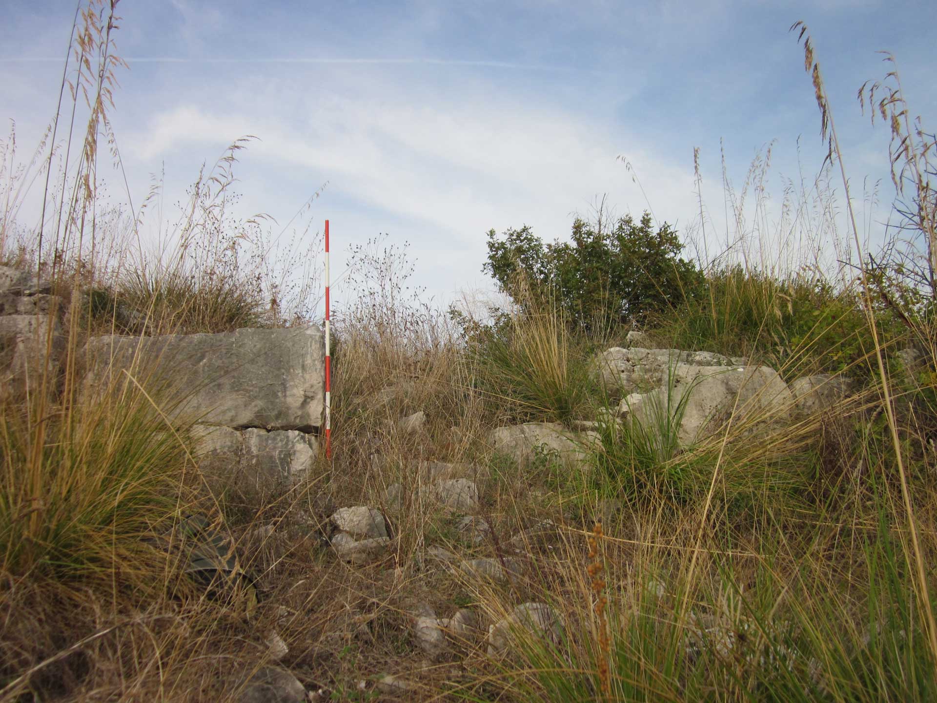 descrizione immagine