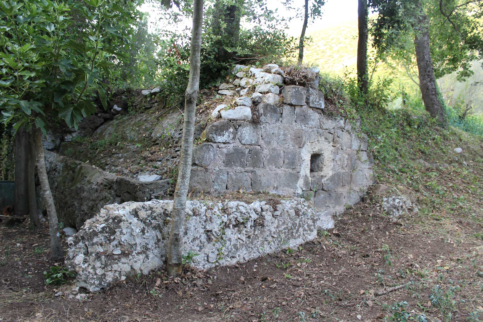 descrizione immagine