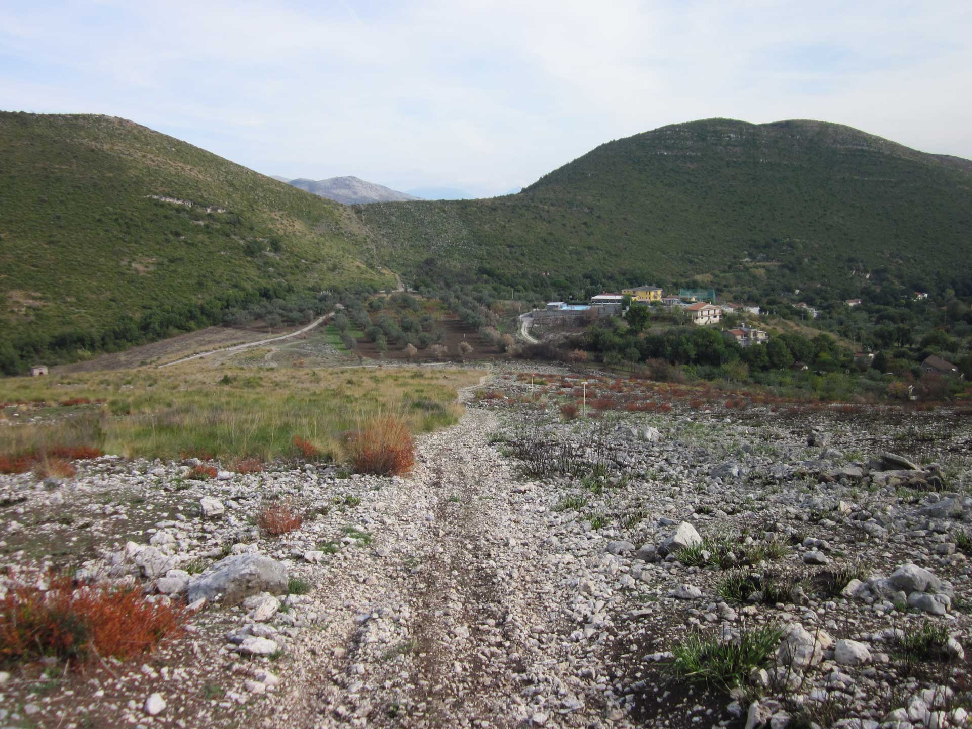 descrizione immagine