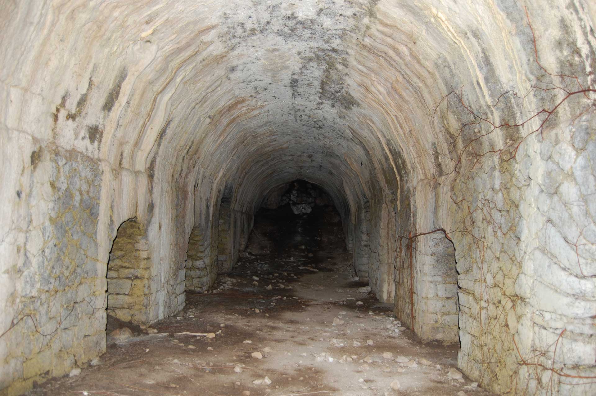 descrizione immagine