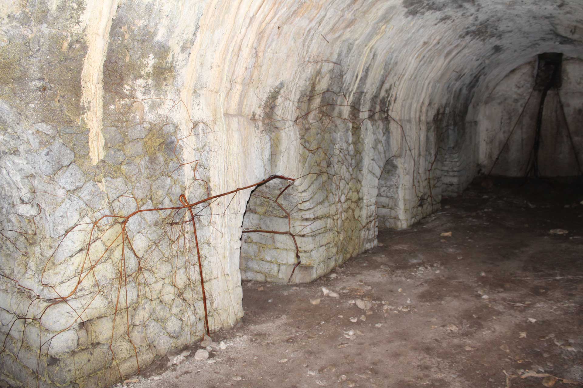 descrizione immagine