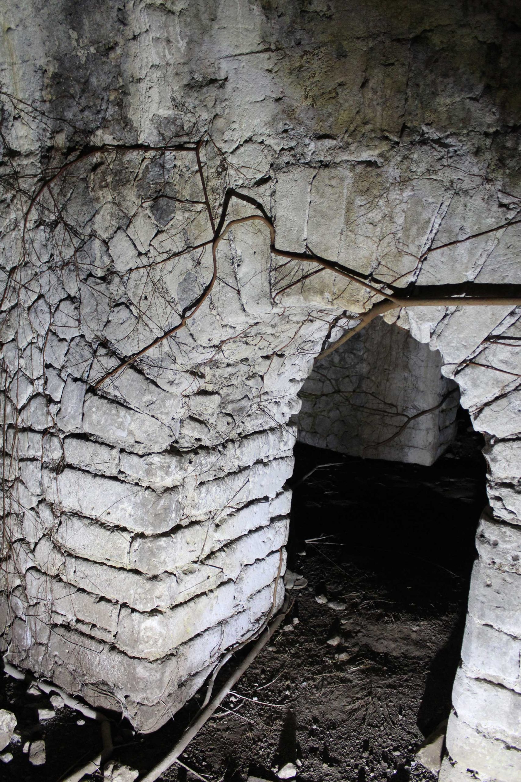 descrizione immagine