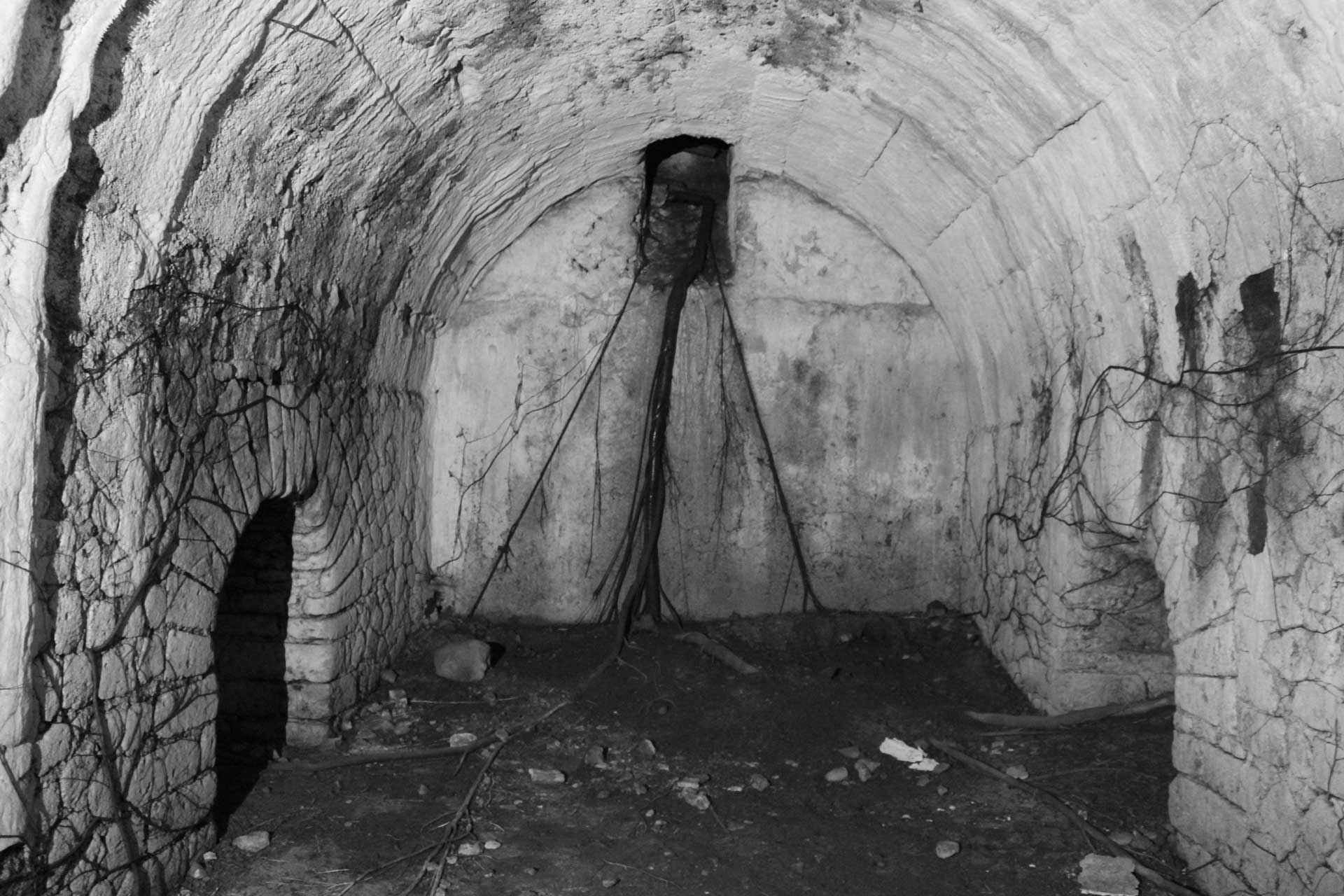 descrizione immagine