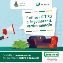 RITIRO DI INGOMBRANTI VERDE E RAMAGLIE