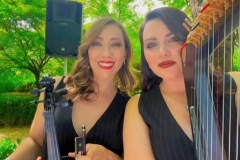 descrizione immagine