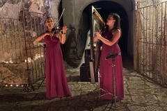 descrizione immagine